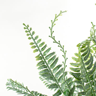 11.5" Fern Bush