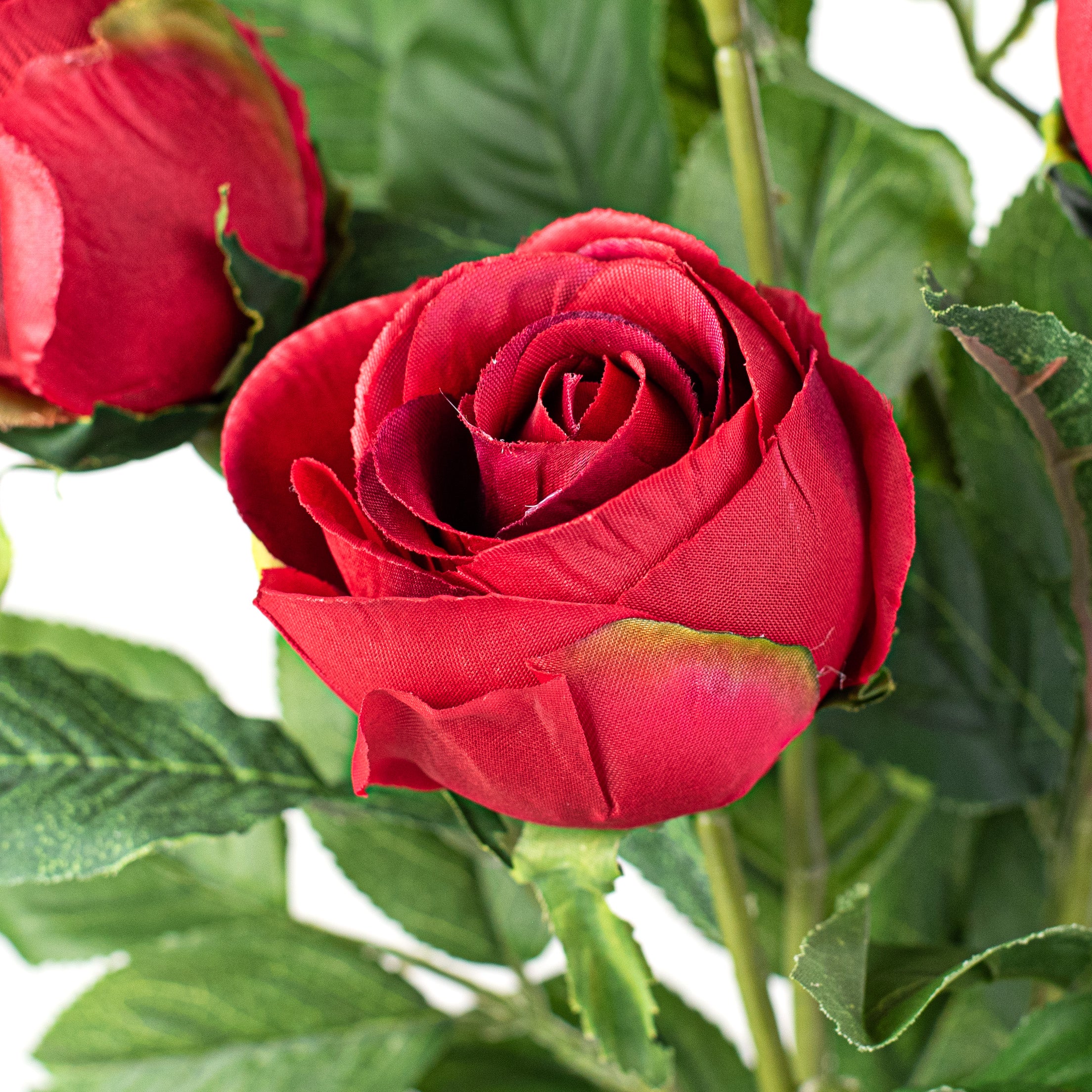 25" Emily Rose Bush: Red