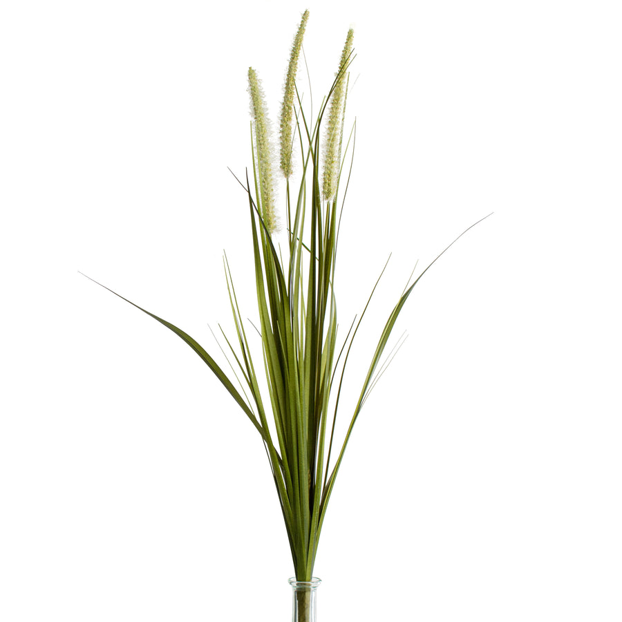 28" Dogtail Grass Spray
