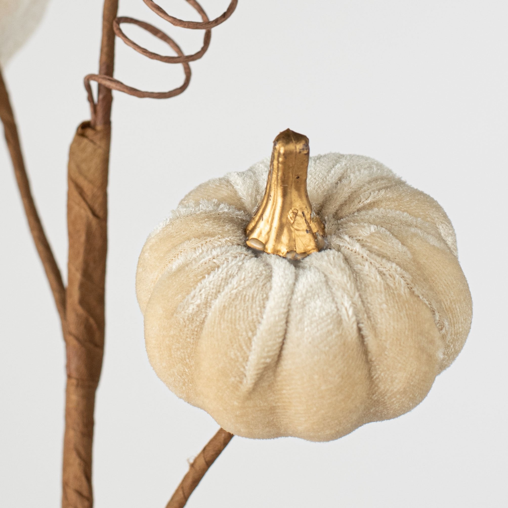 16" Velvet Pumpkin Pick: Champagne