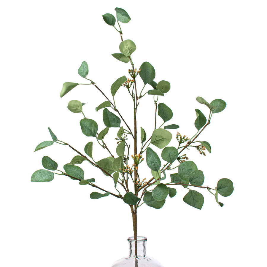 32" Silver Dollar Eucalyptus Seed Berry Spray