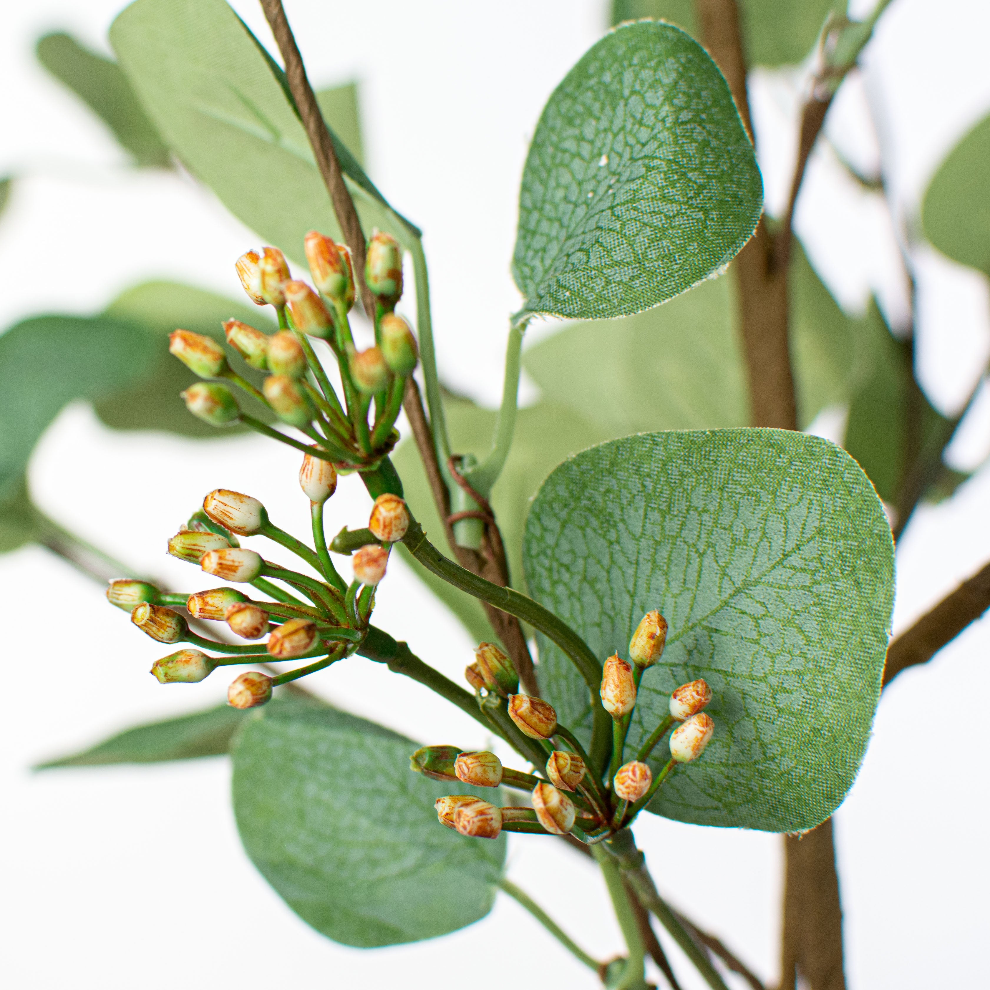 32" Silver Dollar Eucalyptus Seed Berry Spray