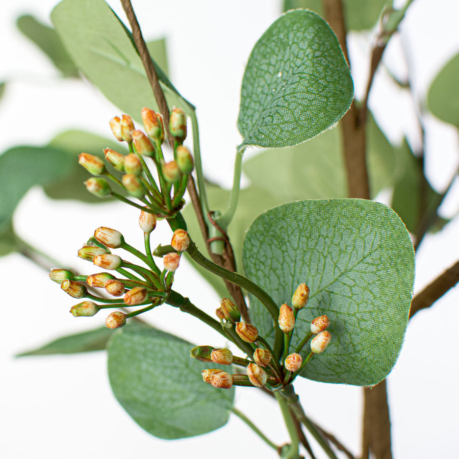 32" Silver Dollar Eucalyptus Seed Berry Spray