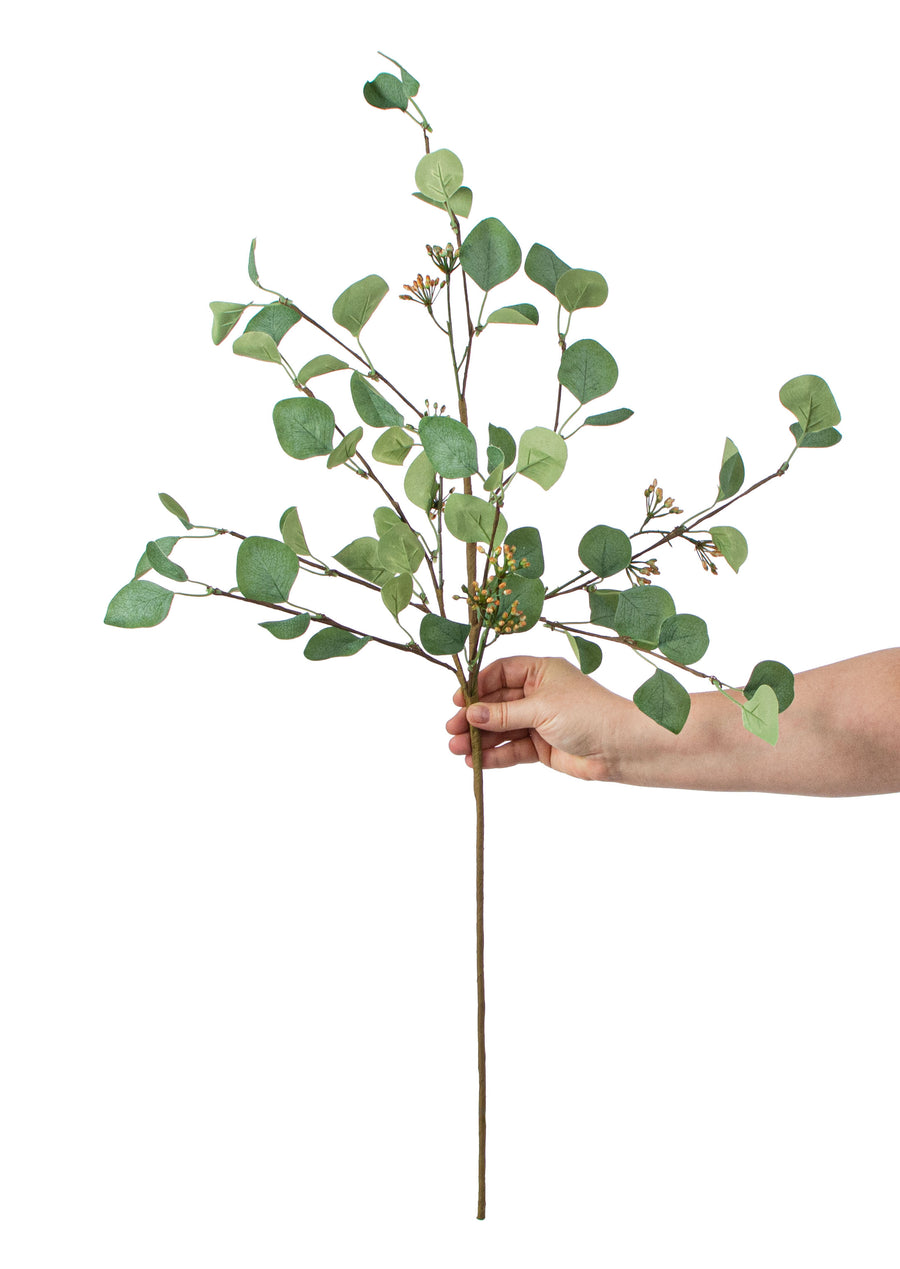 32" Silver Dollar Eucalyptus Seed Berry Spray