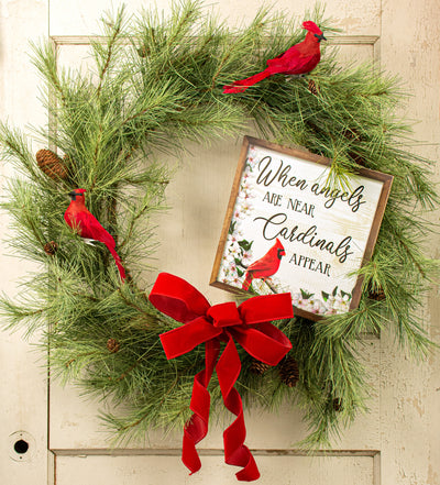 10" Square Wooden Sign: Angels Near Cardinals Appear