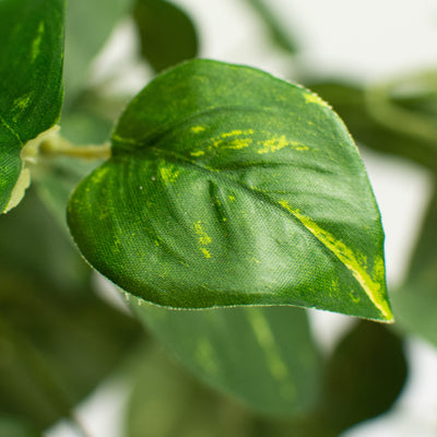 16" Pothos Leaves Bush