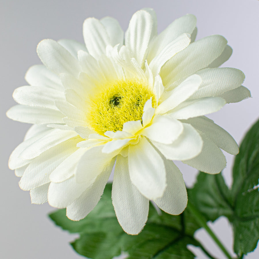 28" Daisy Spray: Cream