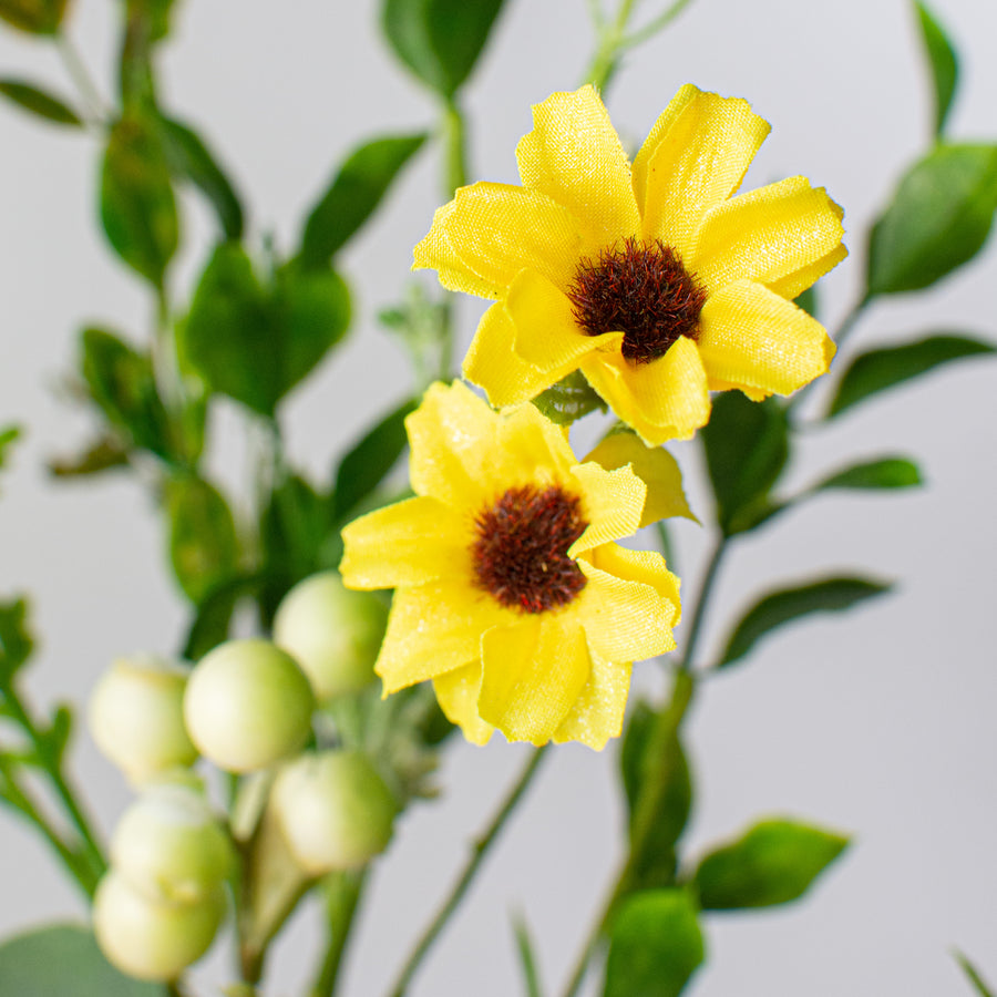 16" Sunflower Eucalyptus Pick