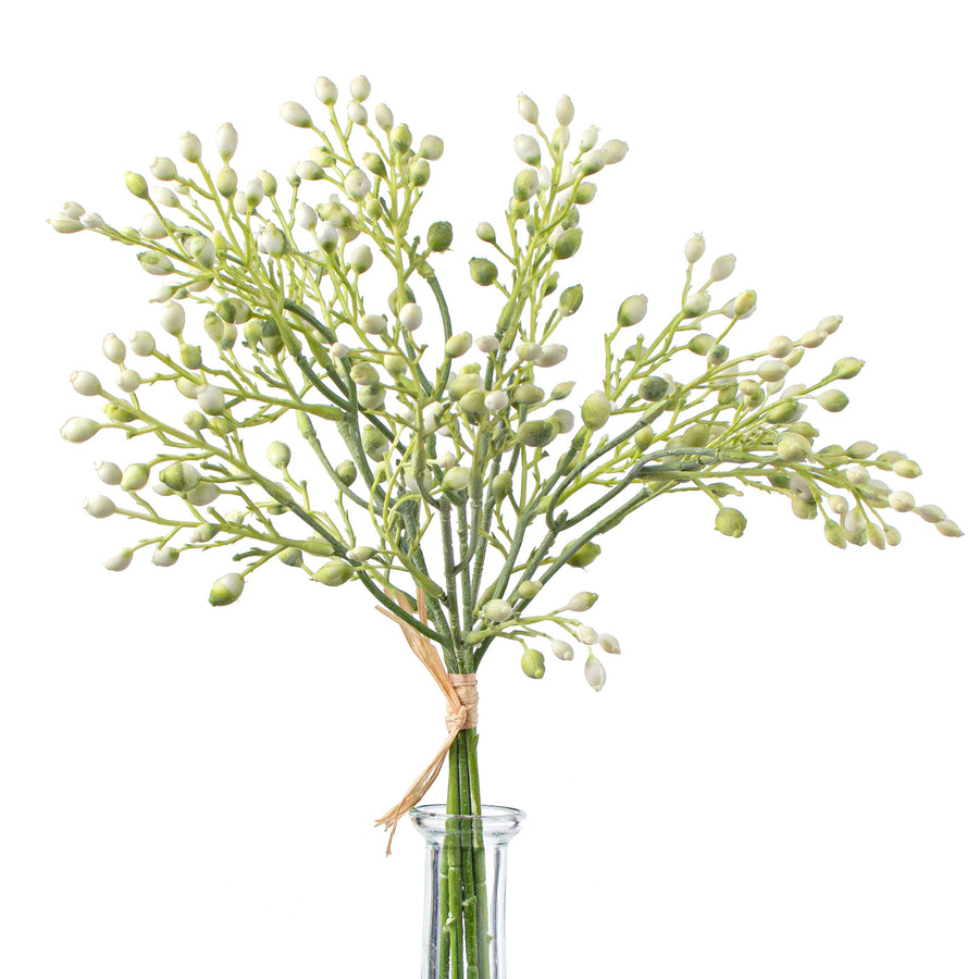 14" Seed Pod Bundle: Cream