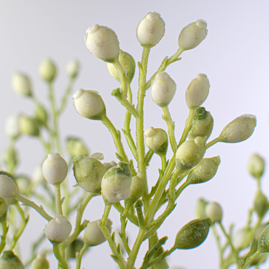 14" Seed Pod Bundle: Cream