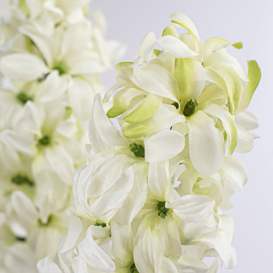 25" Hyacinth Bush: Cream