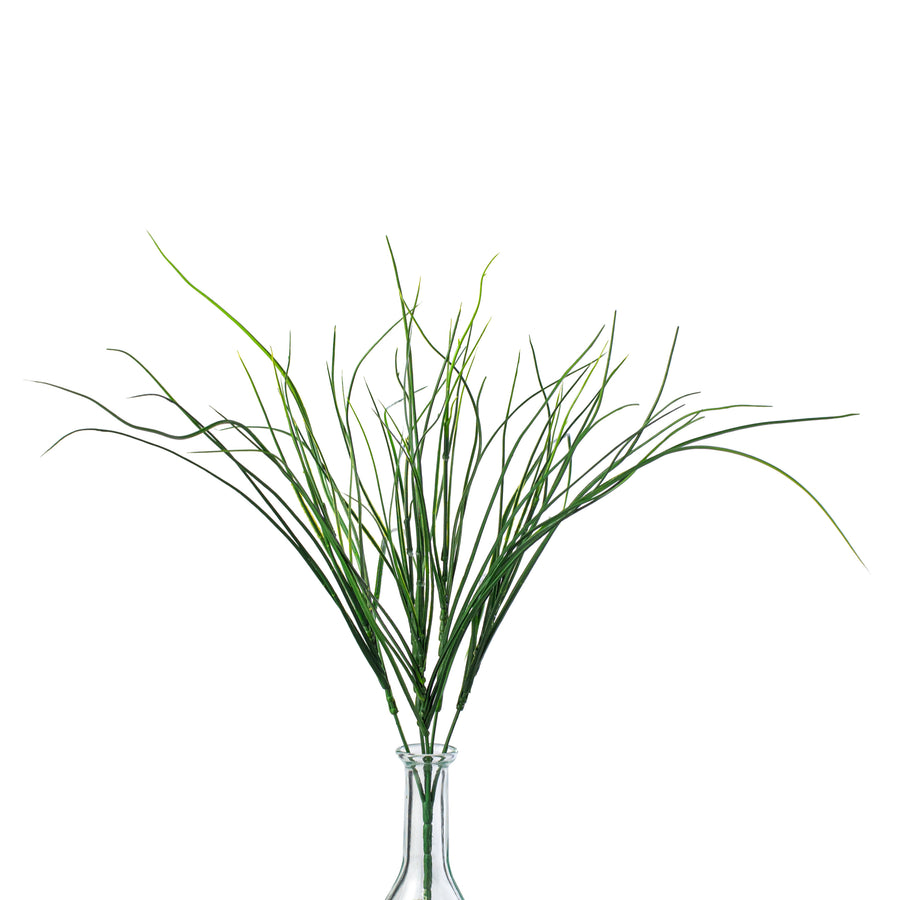 20" Bear Grass Bush