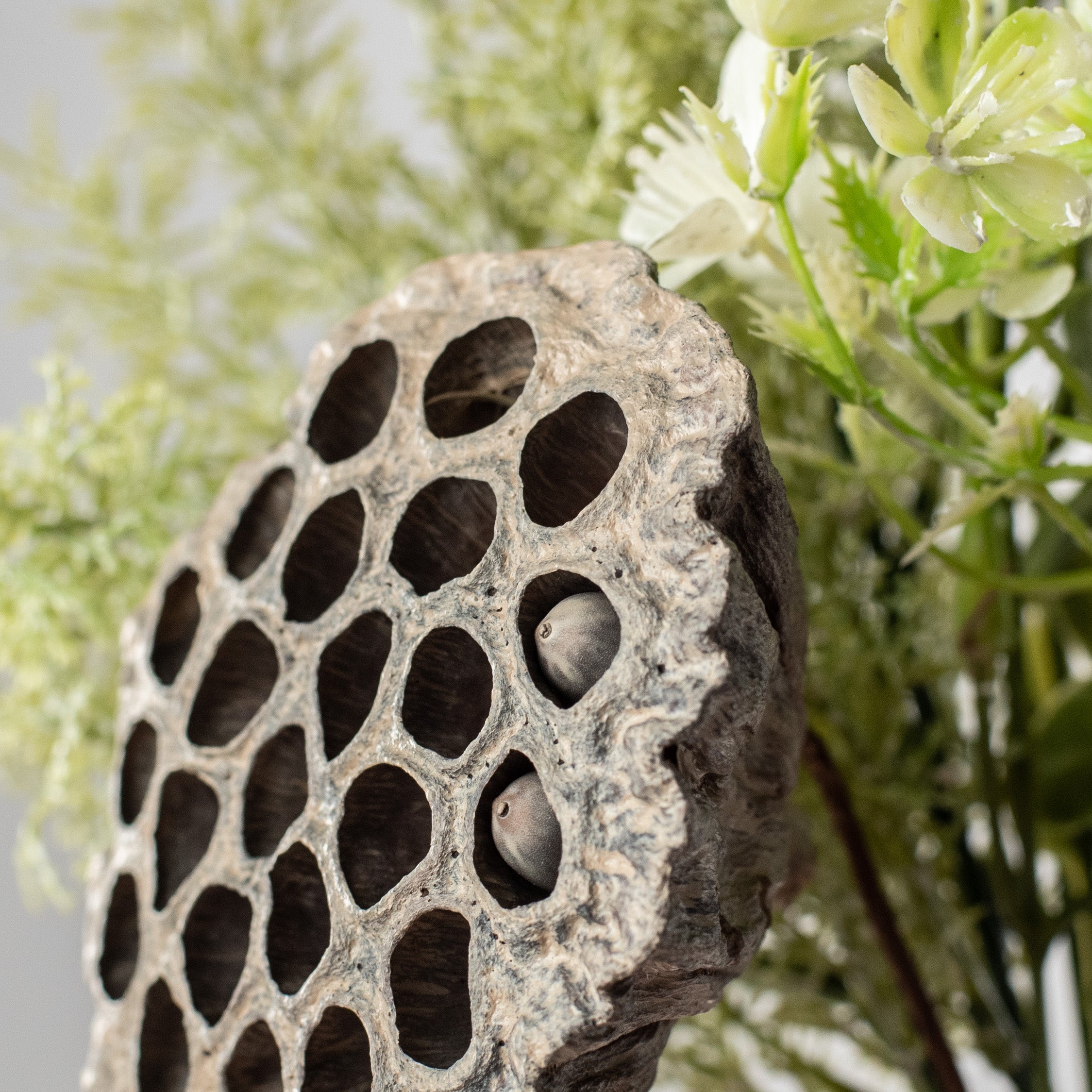 20" Lotus Pod Leaves Bush: Cream