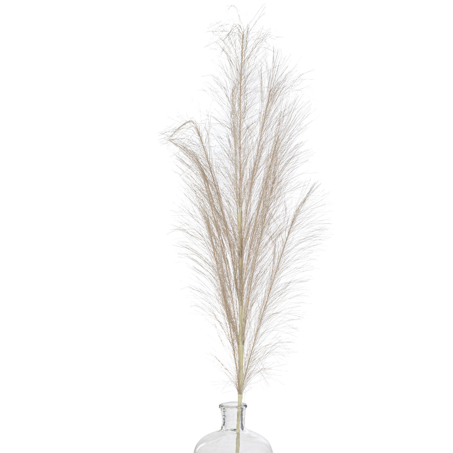 38" Metallic Pampas Grass Spray: Champagne