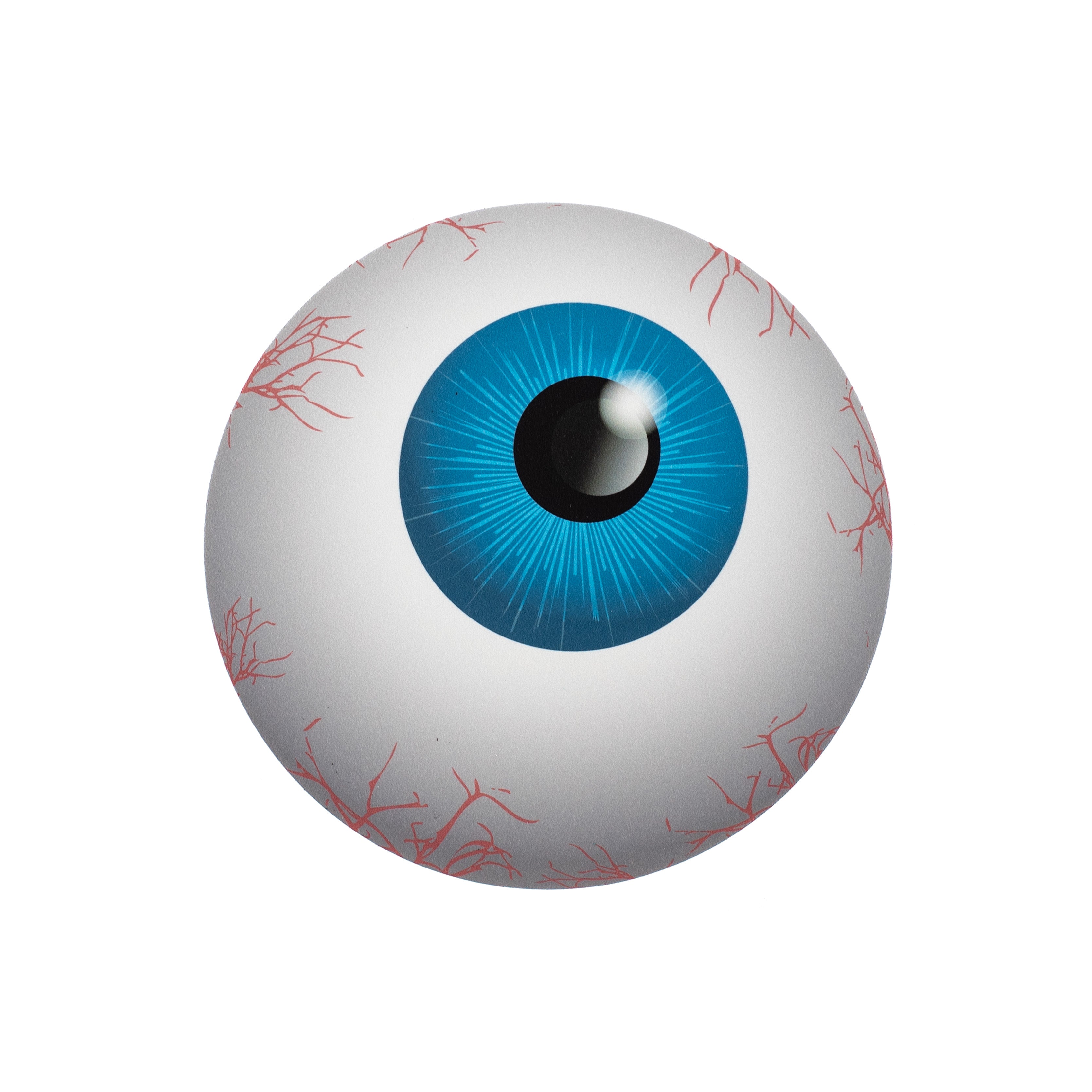 6" Waterproof Accent: Flat Blue Eyeball
