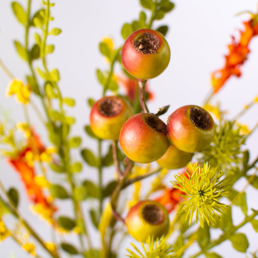 19" Berry Teasel Bush: Fall
