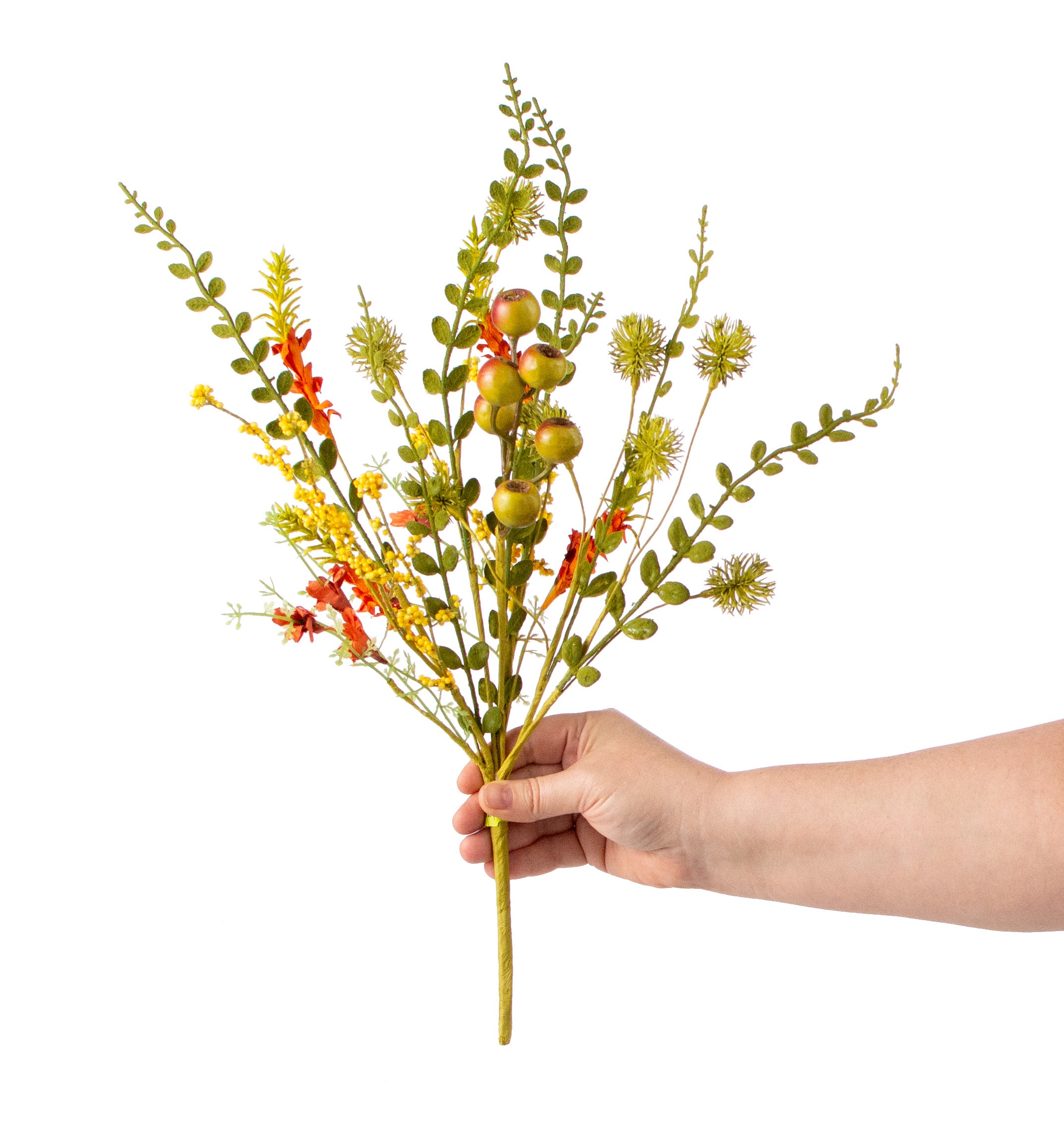 19" Berry Teasel Bush: Fall