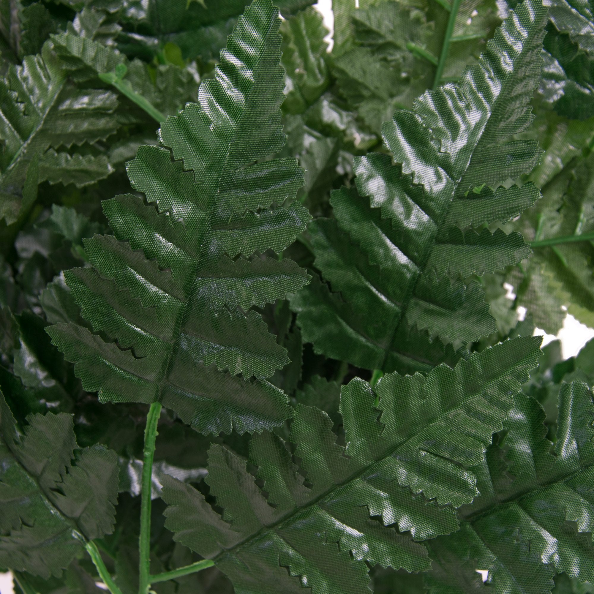 16" Green Leather Leaf Fern Picks (12)