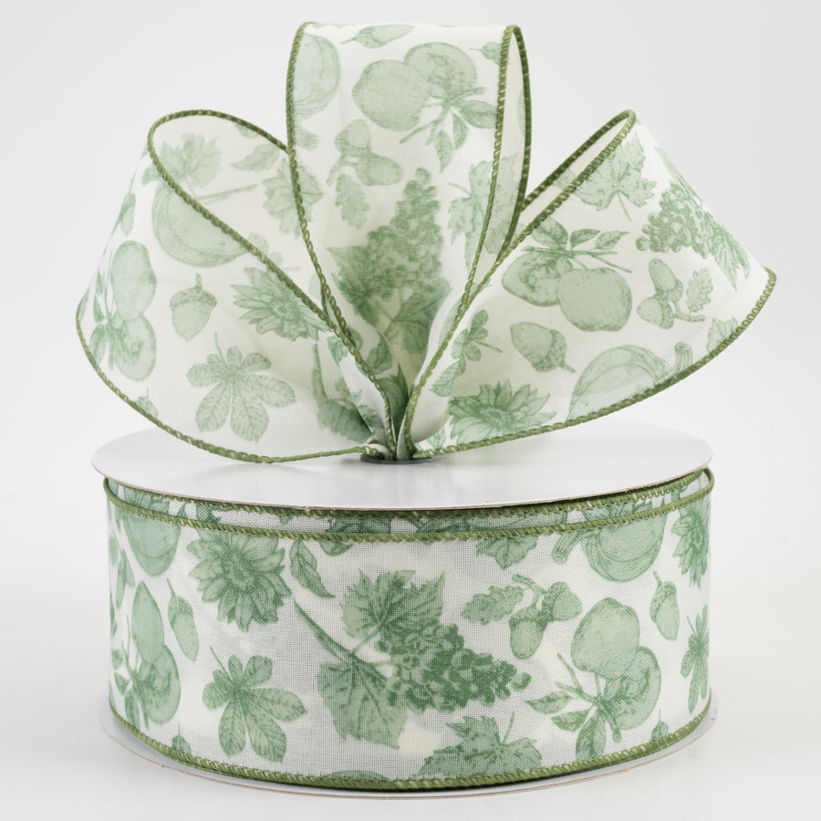 2.5" Linen Fall Toile Ribbon: Green on Cream (50 Yards)