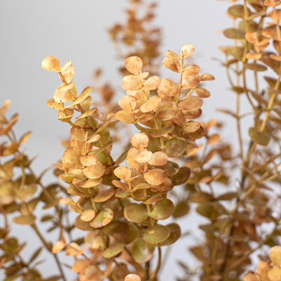 21" Eucalyptus Bush: Brown
