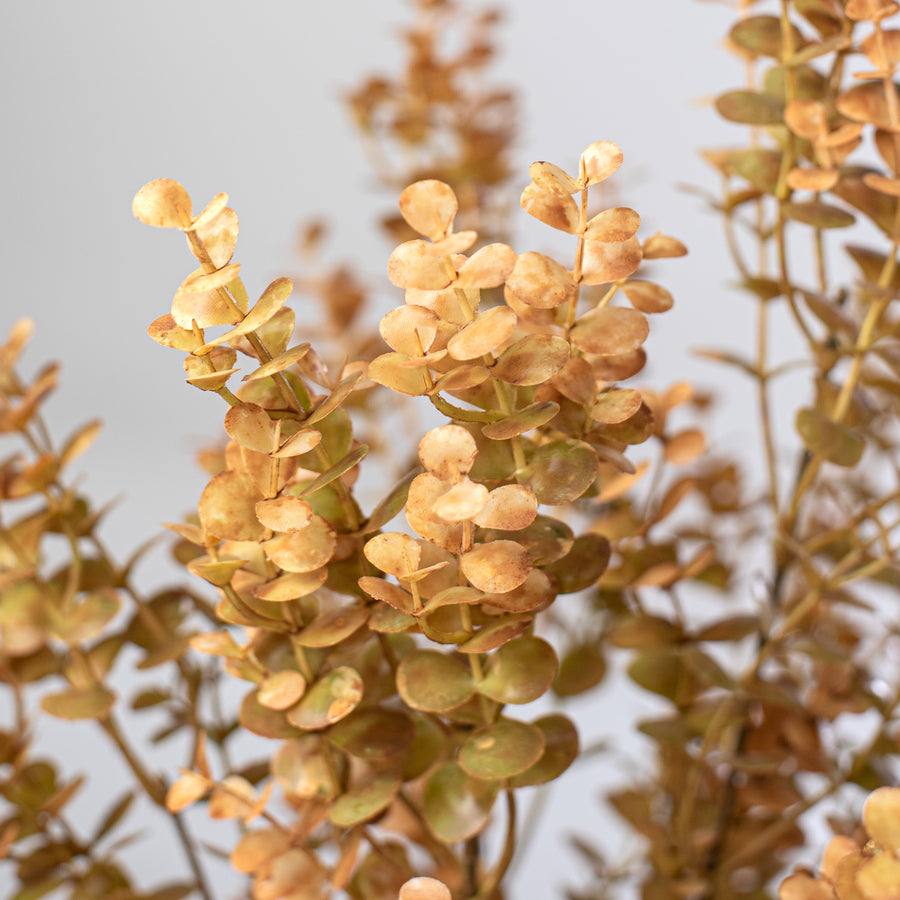 21" Eucalyptus Bush: Brown