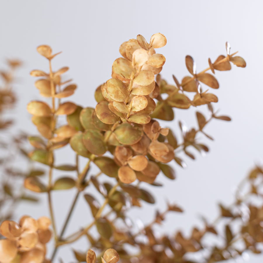 21" Eucalyptus Bush: Brown