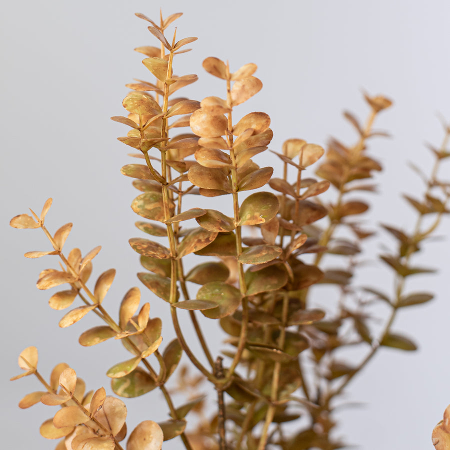 21" Eucalyptus Bush: Brown
