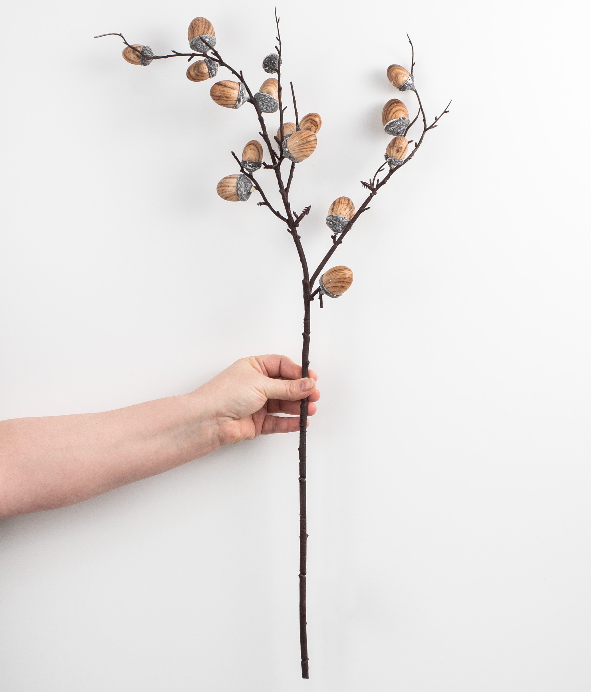 29" Wood Print Acorn Spray