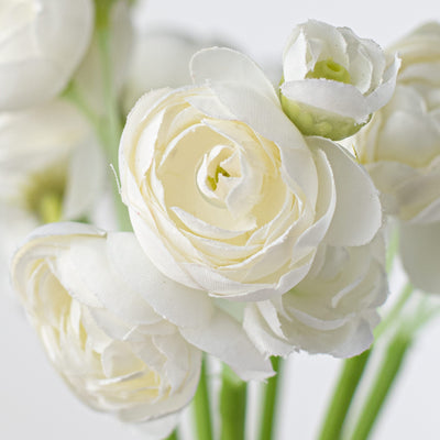 11" Mini Ranunculus Bundle: White