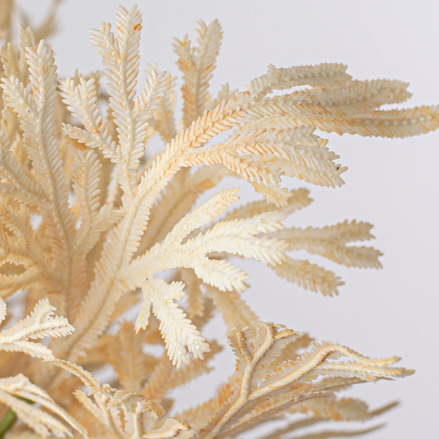 15" Staghorn Leaf Bundle: Ivory
