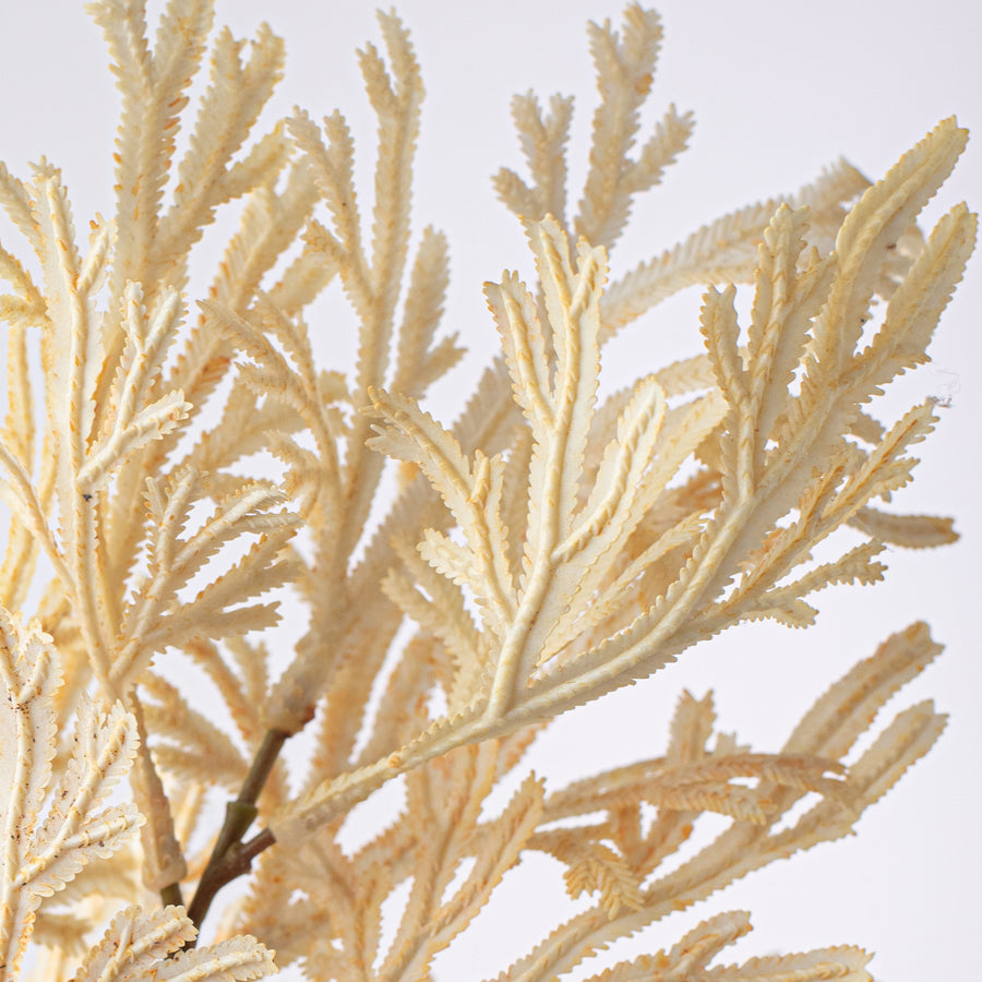 15" Staghorn Leaf Bundle: Ivory