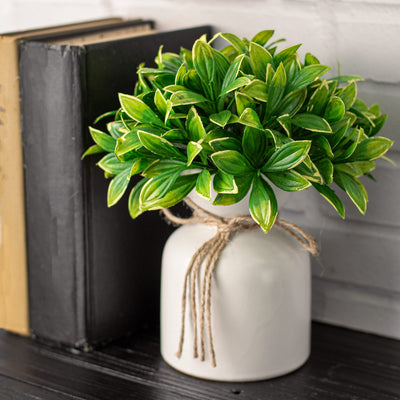 7" Privet Leaf Half Ball: Green & Yellow