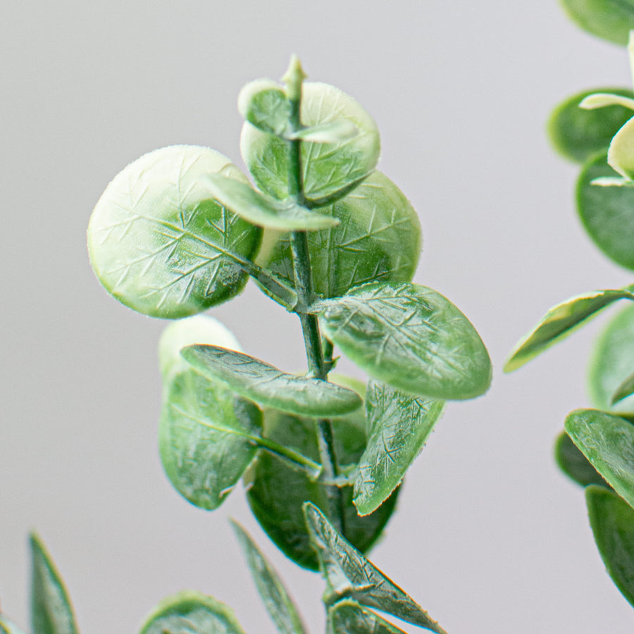 19" Eucalyptus Berry Spray
