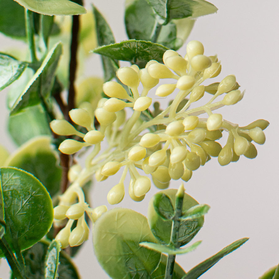 19" Eucalyptus Berry Spray