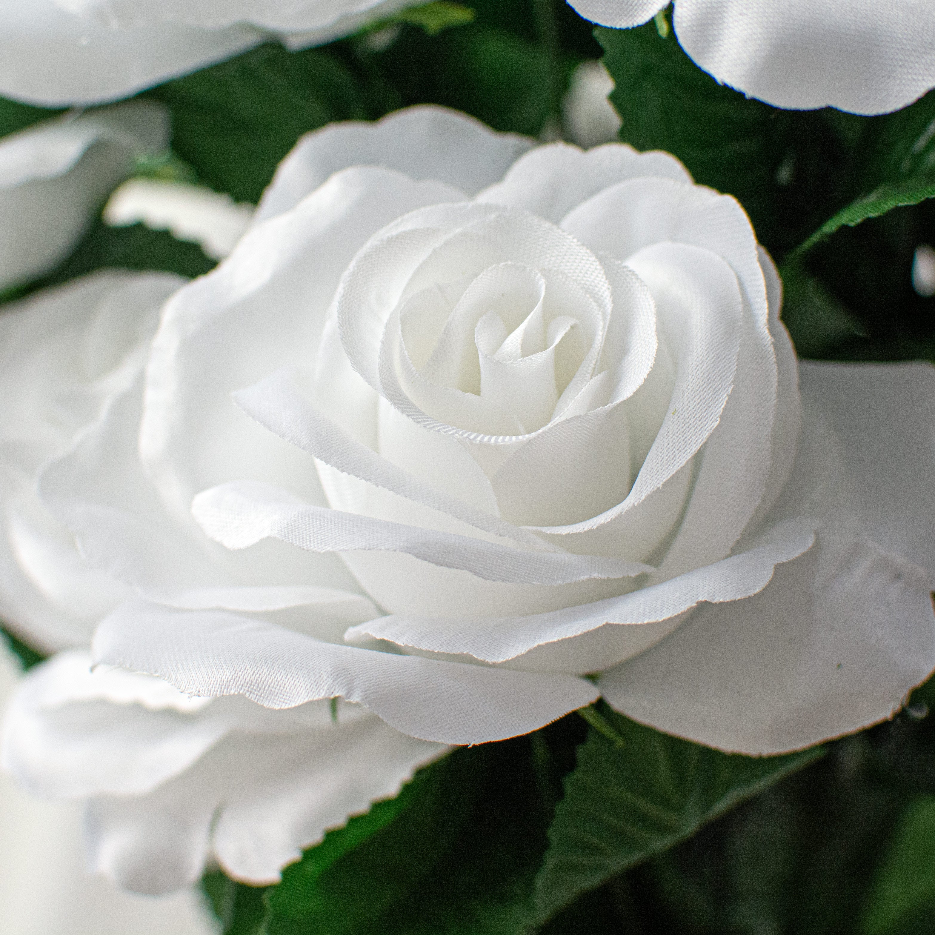 17" Colorfast Lillian Open Rose Bush (12): White
