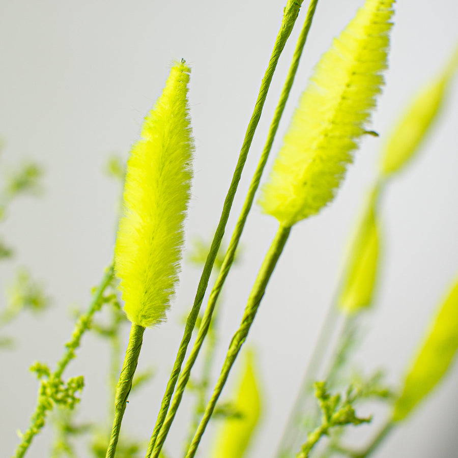 24" Bunny Tail & Leaves Bush: Green