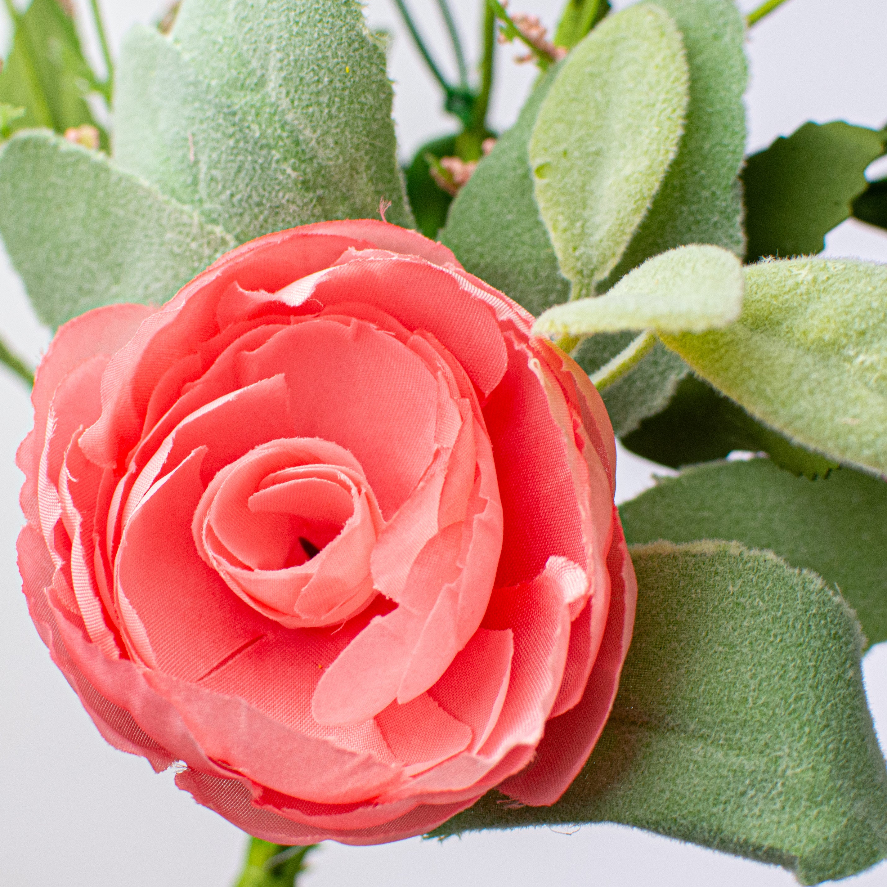 17" Ranunculus Daisy Pick: Pink & Green