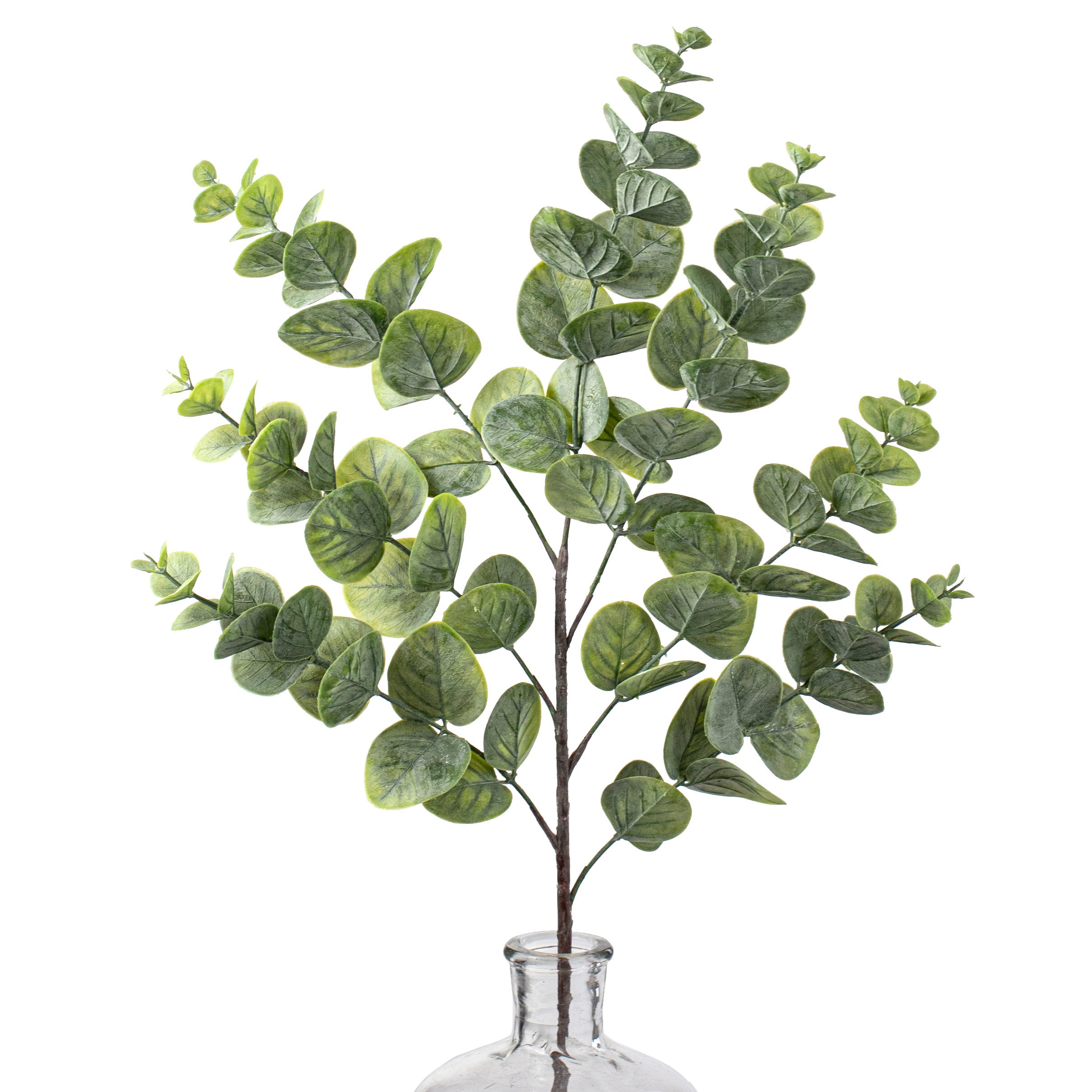 24" Spiral Eucalyptus Spray: Two-Tone Green
