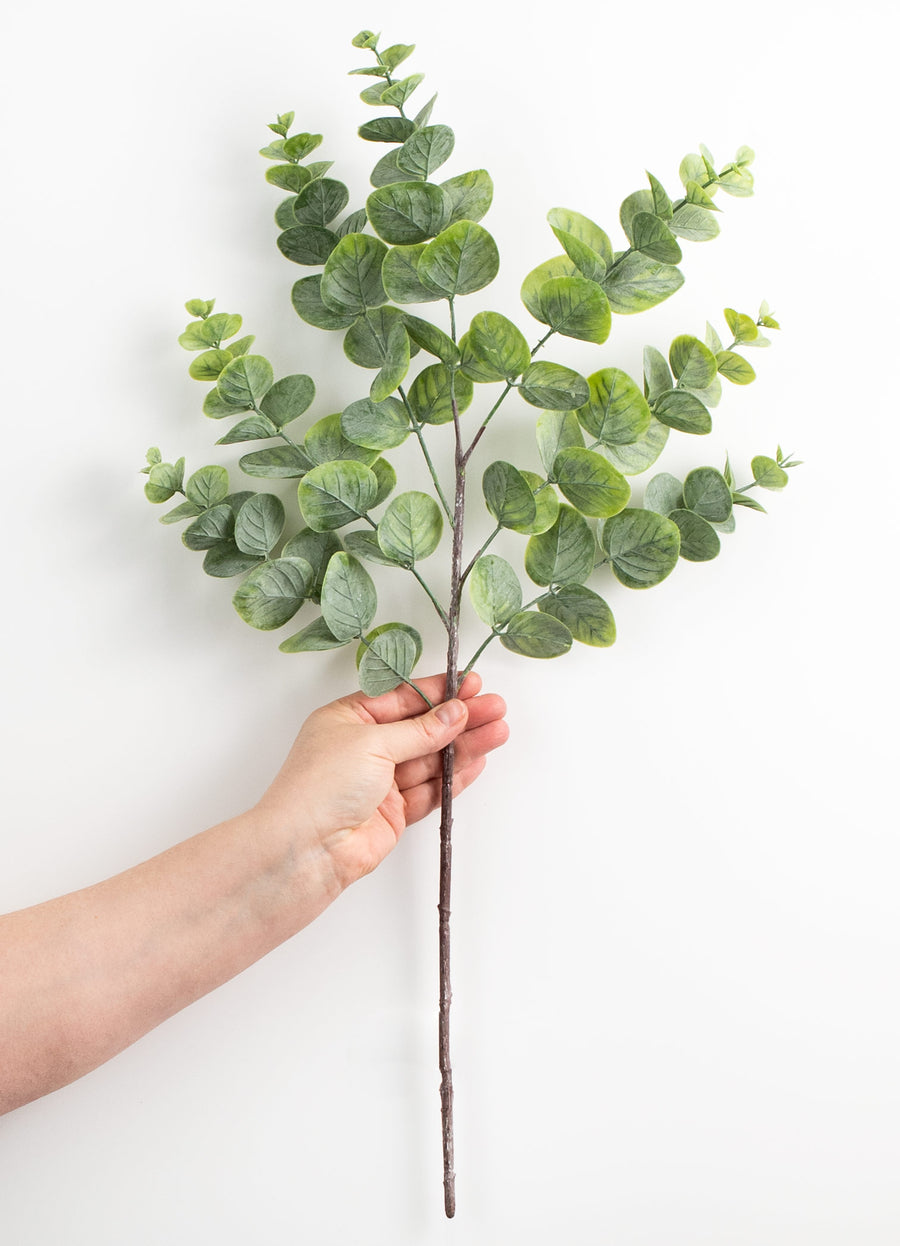 24" Spiral Eucalyptus Spray: Two-Tone Green