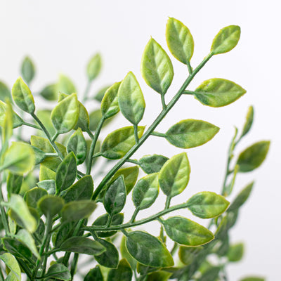 17" Green Leaf Foliage Bush