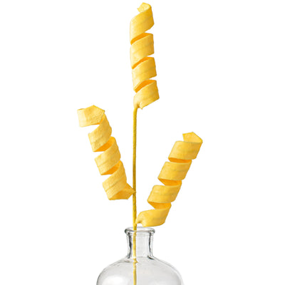 24" Fuzzy Curly Spray: Yellow