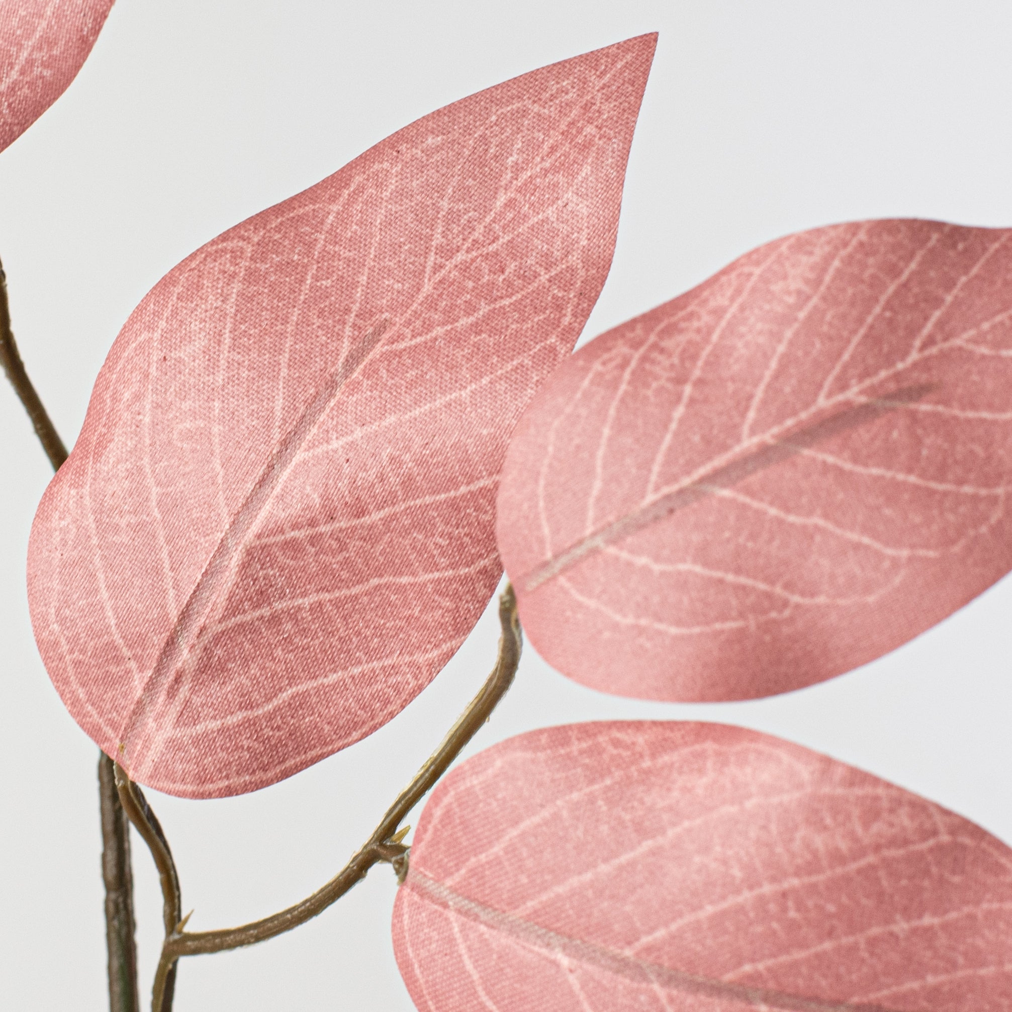 23" Ficus Leaf Spray: Rose Pink (12)