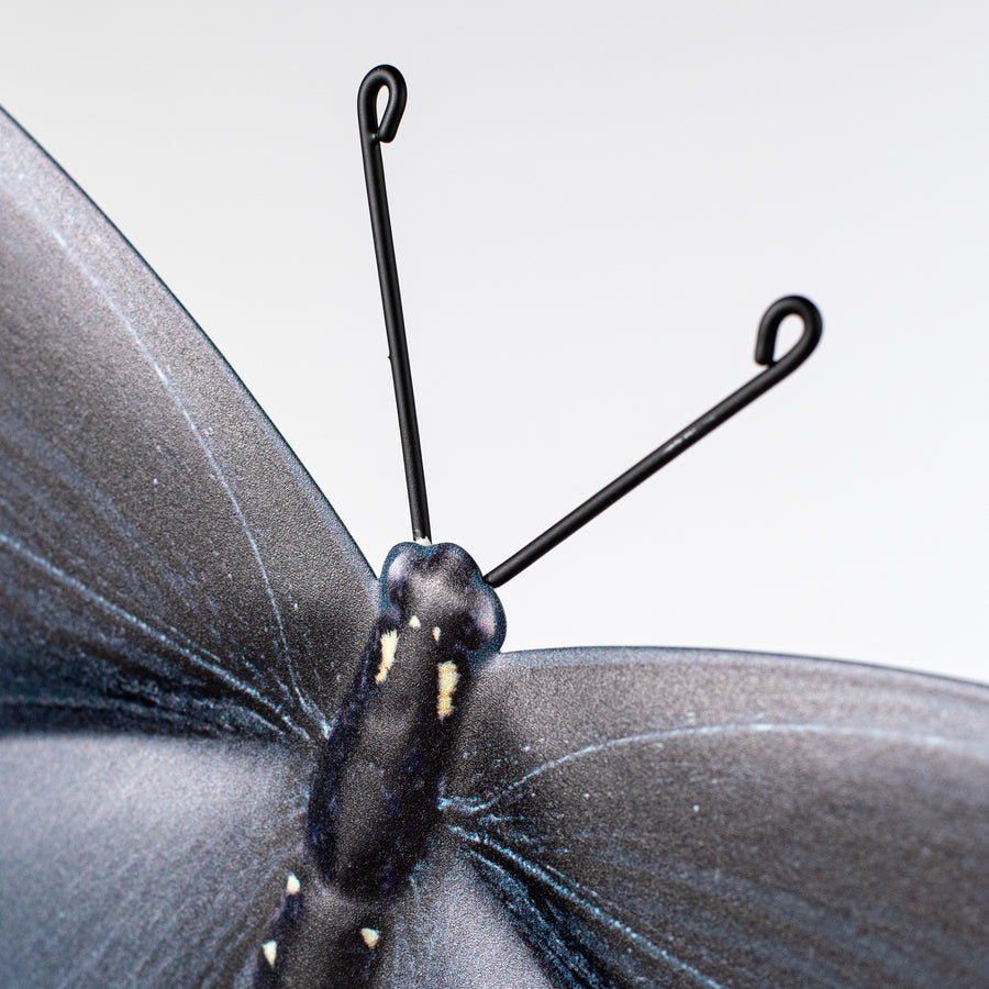 13" Metal Embossed Swallowtail Butterfly Sign: Charcoal, Black & Blue