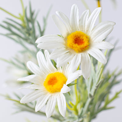 15" Daisy & Leaves Pick: White