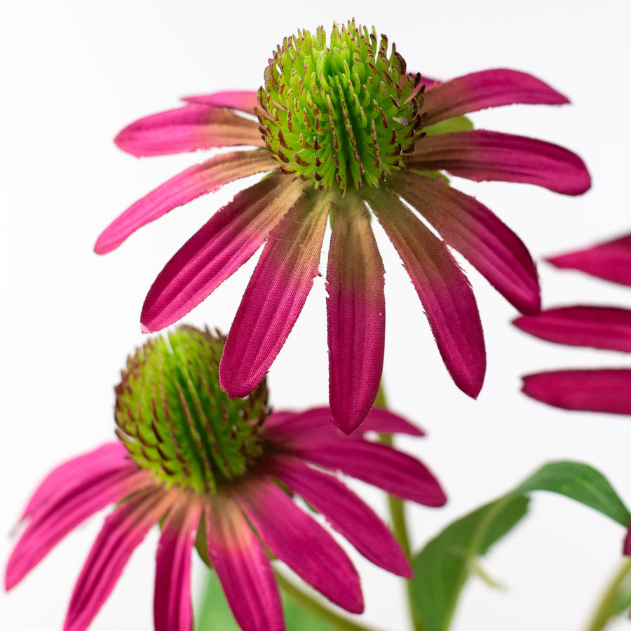 28" Coneflower Spray: Magenta Pink