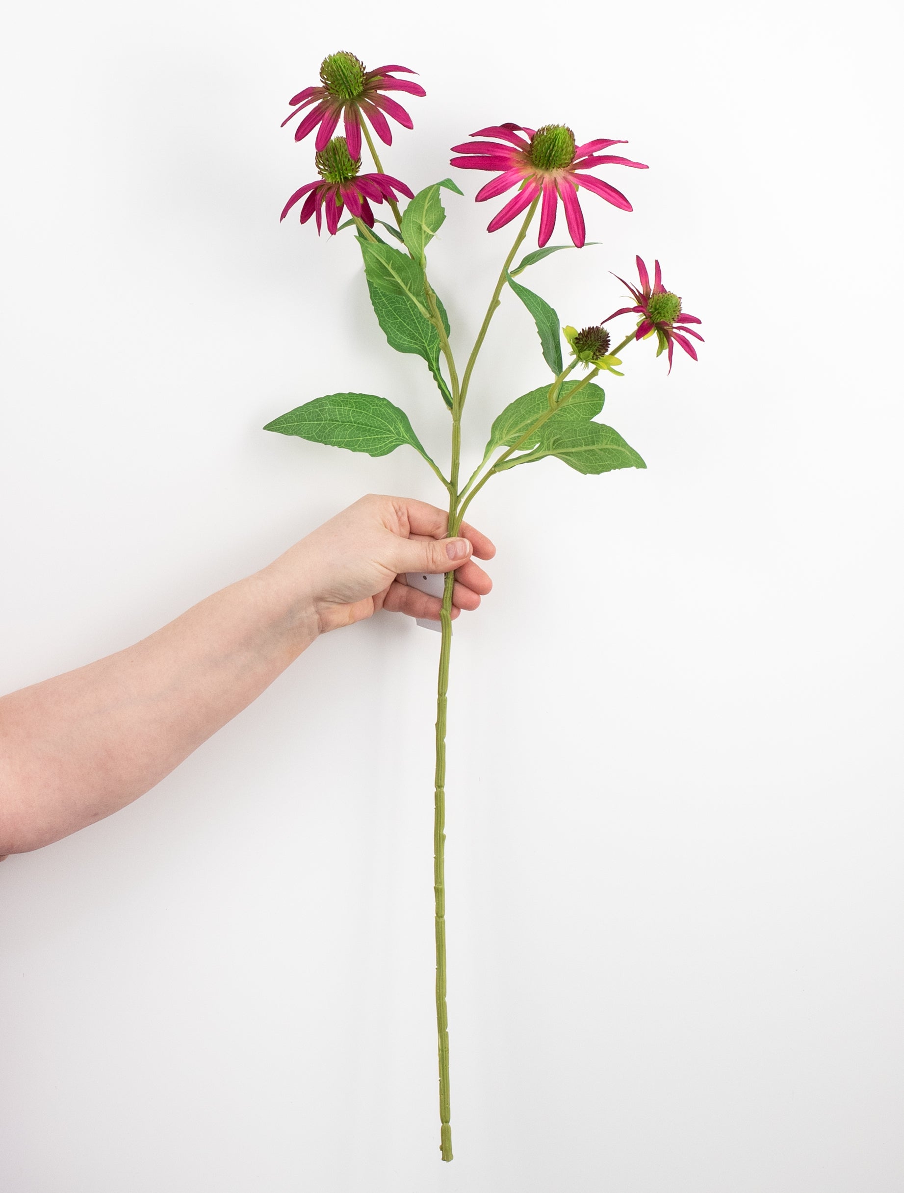 28" Coneflower Spray: Magenta Pink