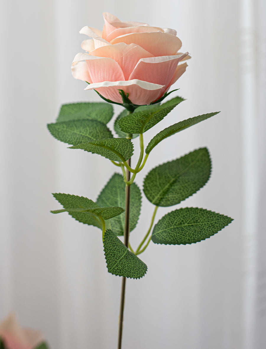 20" Celine Rose Bush: Blush Pink (9 Stem)