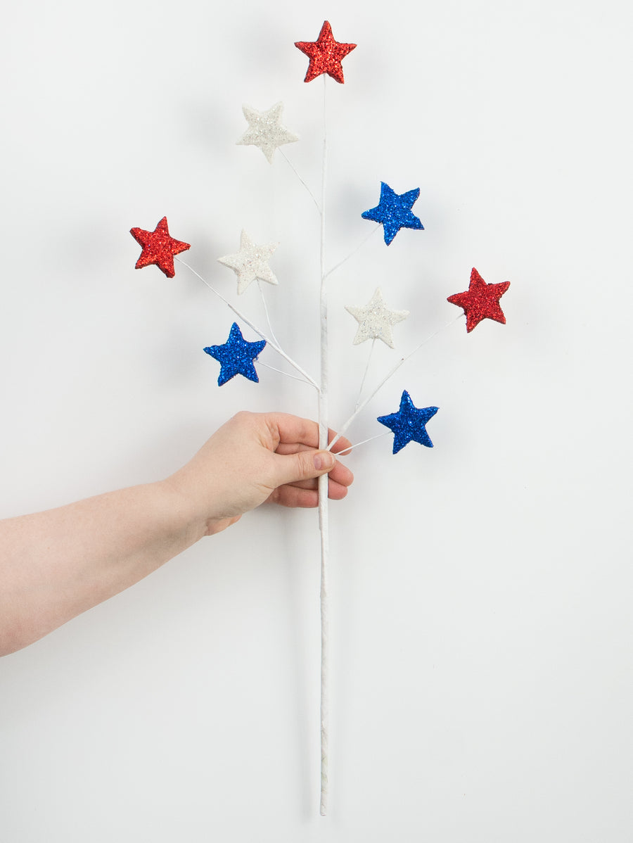23" Glittered Star Spray: Red, White & Blue