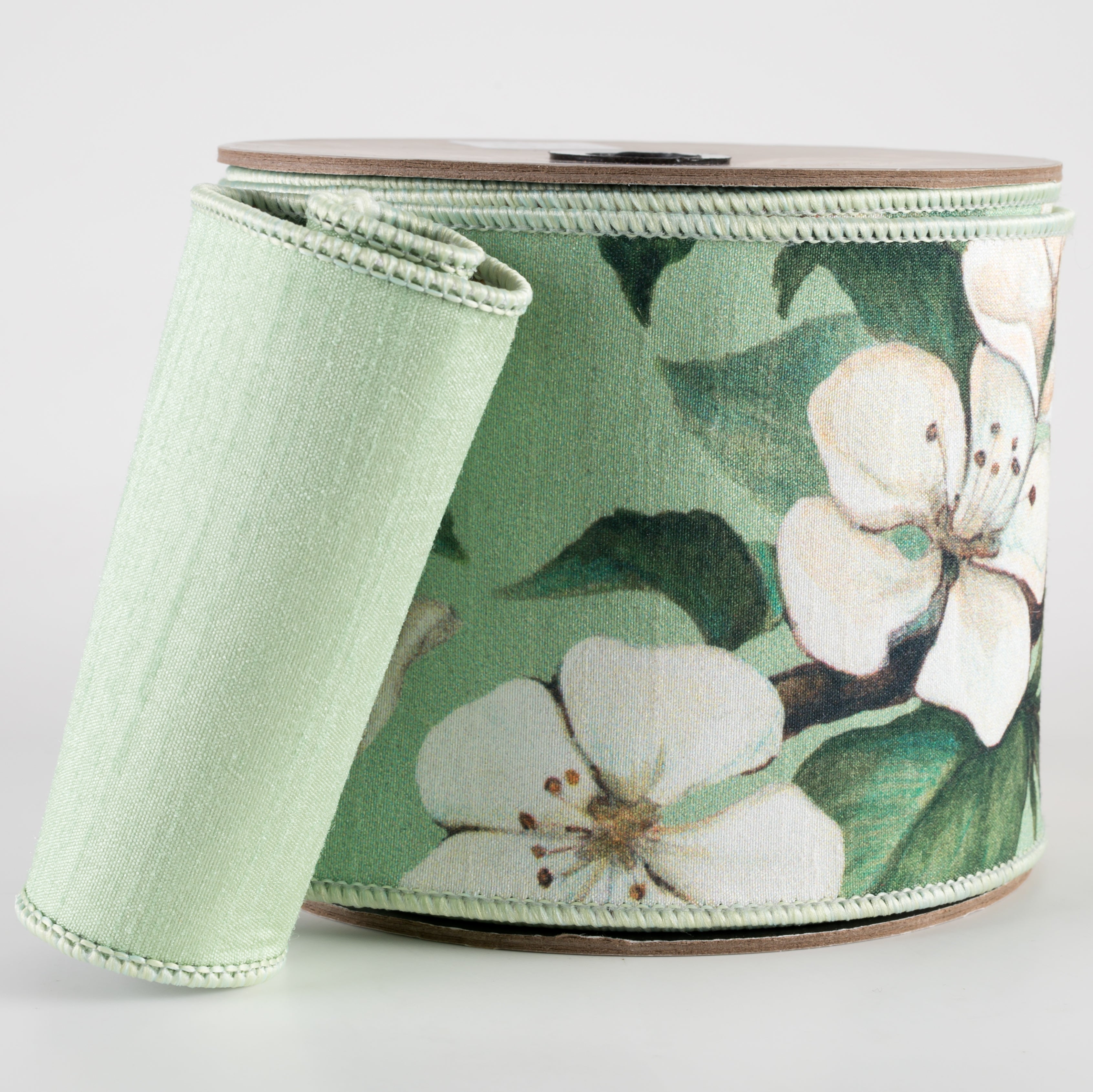 [D Stevens] 4" Dupioni Apple Blossom Ribbon: Cream & Mint Green (10 Yards)