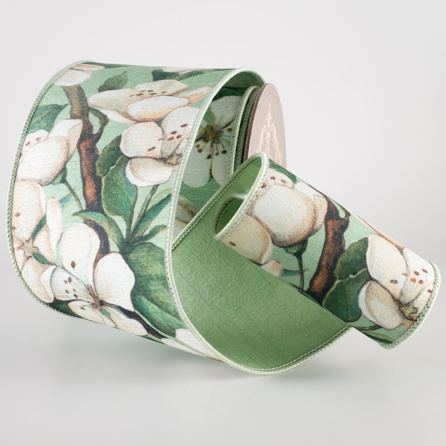 [D Stevens] 4" Dupioni Apple Blossom Ribbon: Cream & Mint Green (10 Yards)